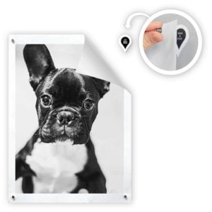 GoodHangups Replacement Magnastickers (Magnets Sold Separately)