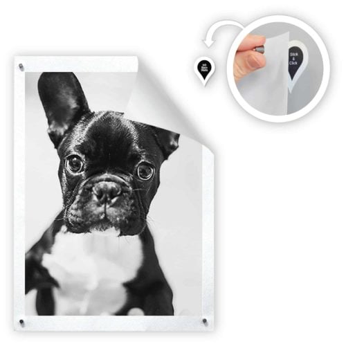 GoodHangups (40 Pack) - Image 8